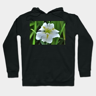 Simply Iris Hoodie